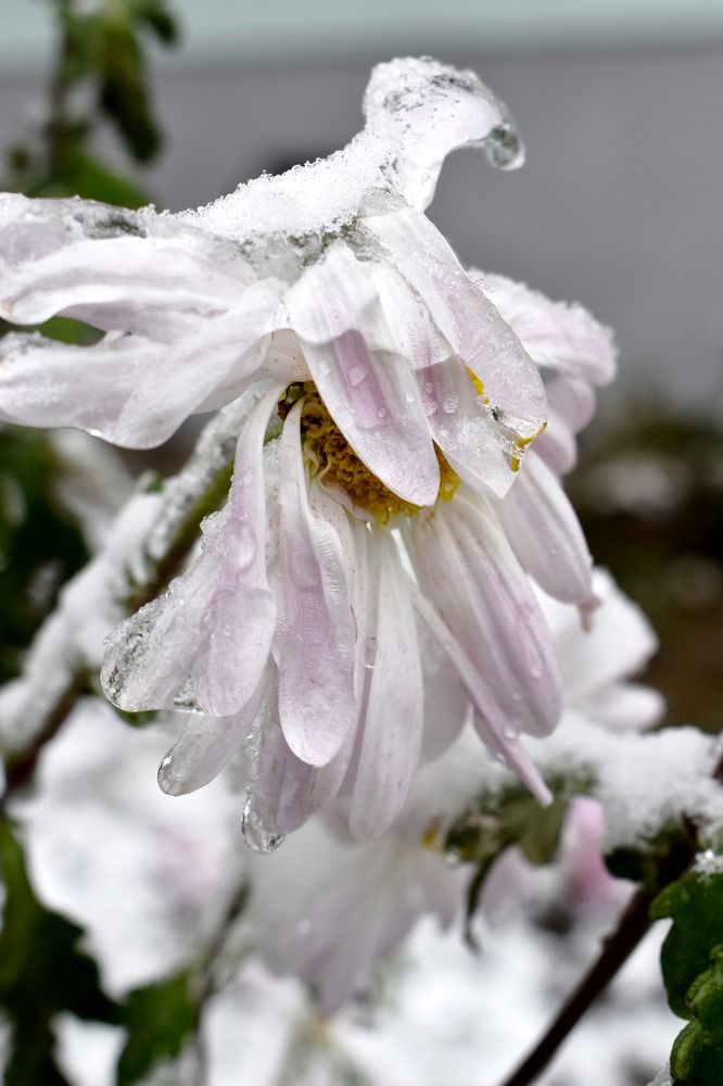 Photograph by Олена Лукашевич