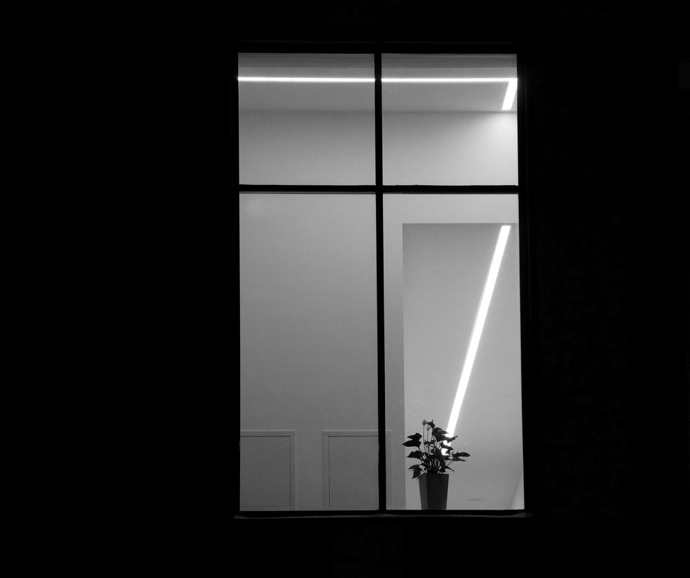 Photograph by Михаил Янкин