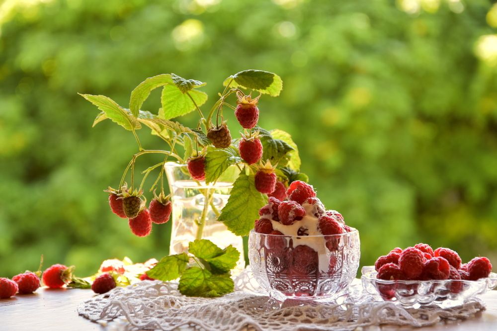 Photograph by Ирина Алексеева