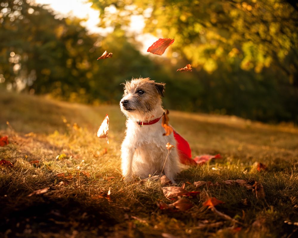 Photograph by Александр Быдрицкий