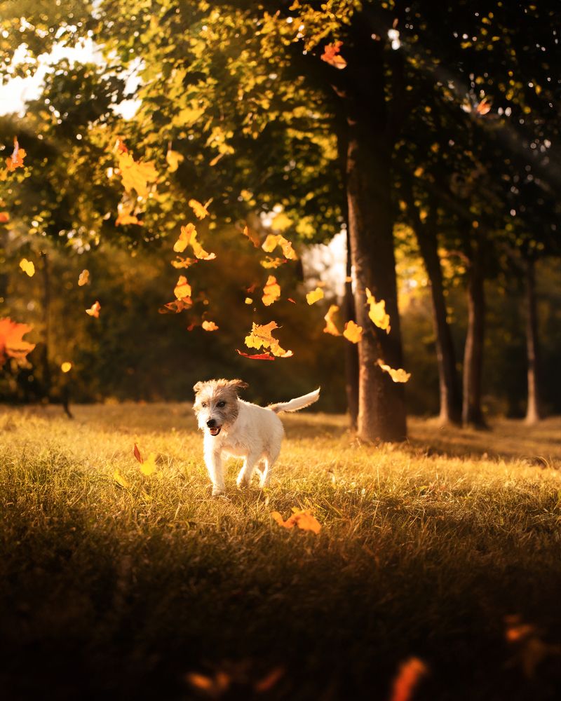 Photograph by Александр Быдрицкий