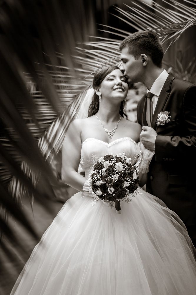 Photograph by Анна Петренко-Лопатина