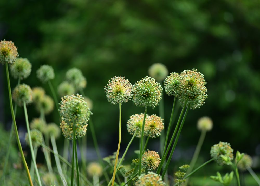 Photograph by Владислав Кравцов