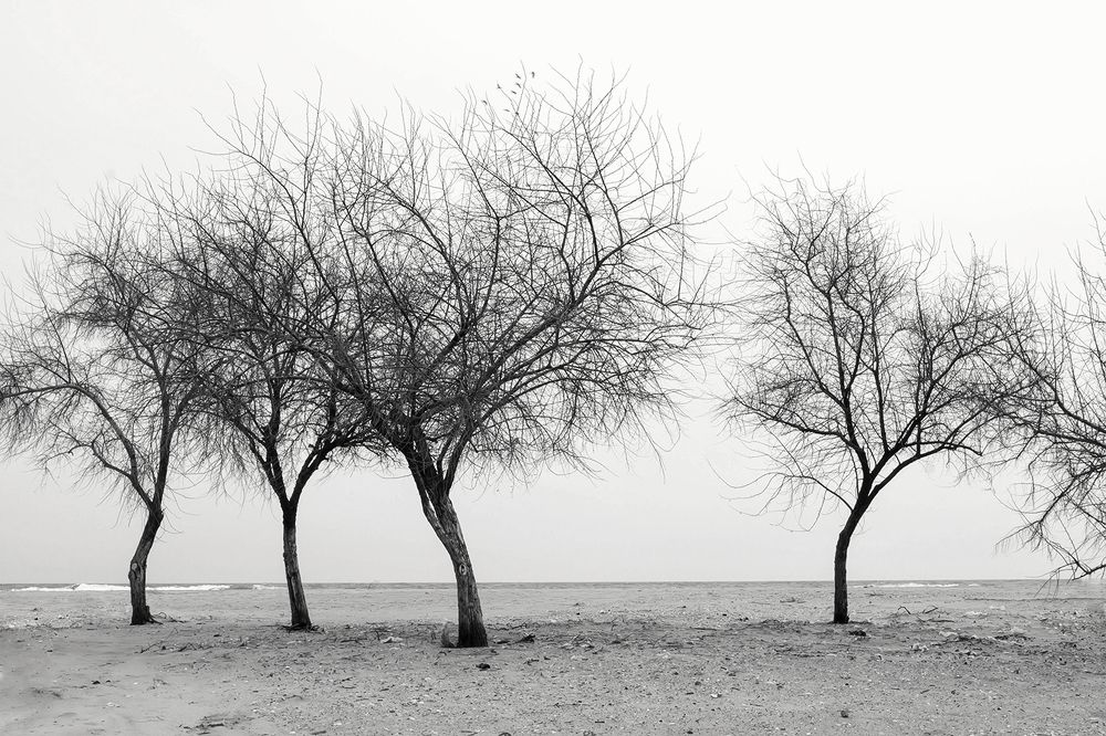 Photograph by Анна Петренко-Лопатина