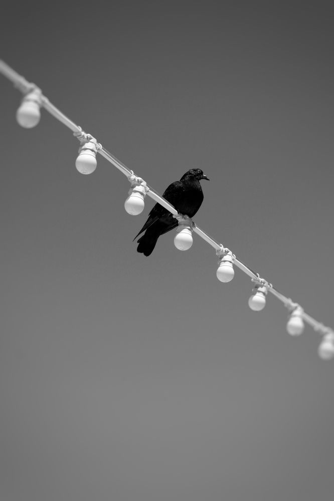 Photograph by Екатерина Мурсынина