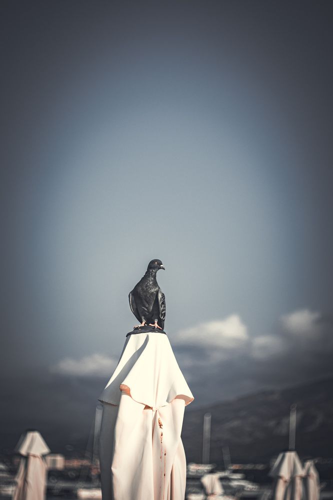 Photograph by Екатерина Мурсынина