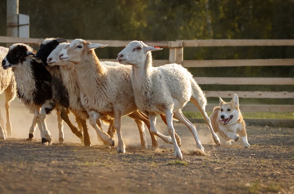 Photograph by Ольга Легенькая