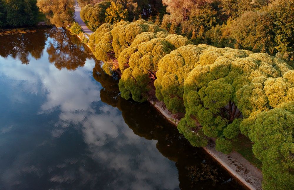 Photograph by Владислав Кравцов