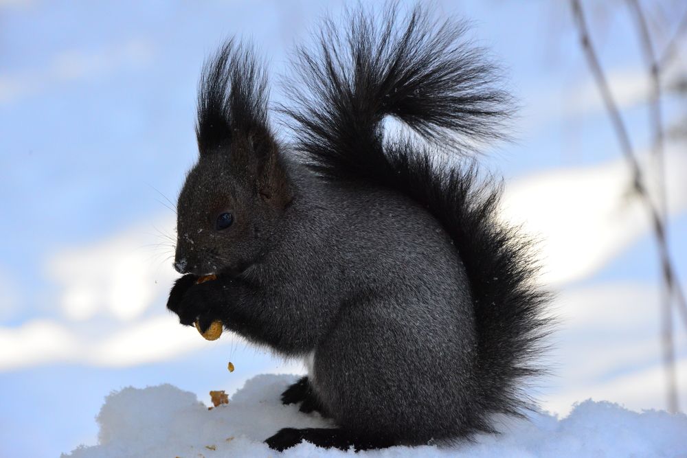 Photograph by Дмитрий Юдин