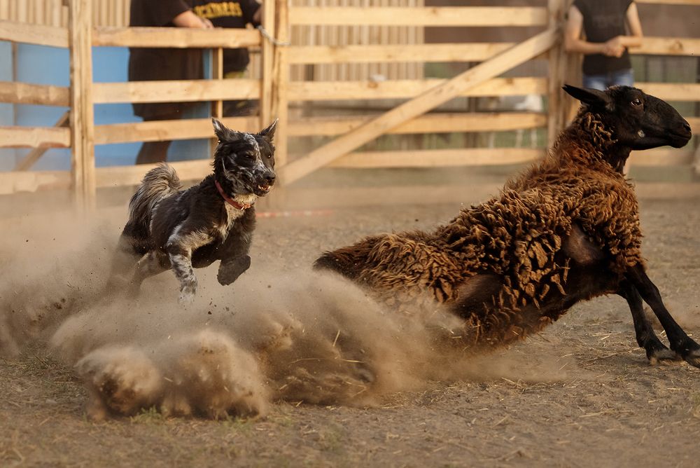 Photograph by Ольга Легенькая