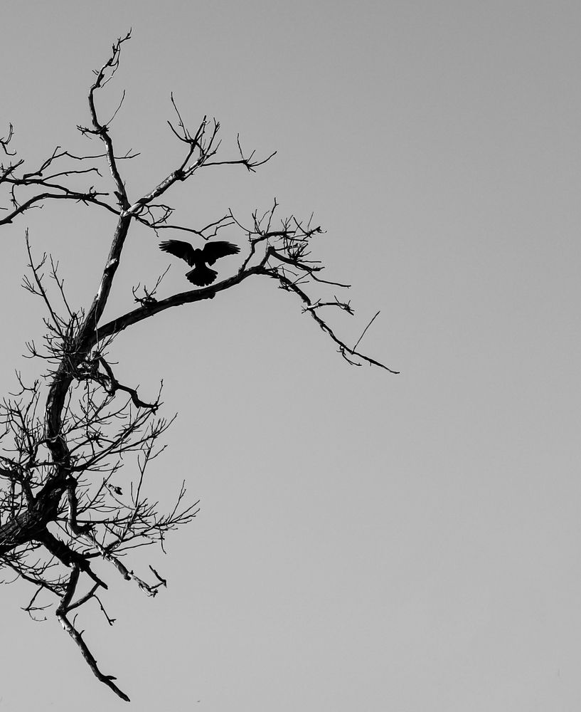 Photograph by Reza Heydari