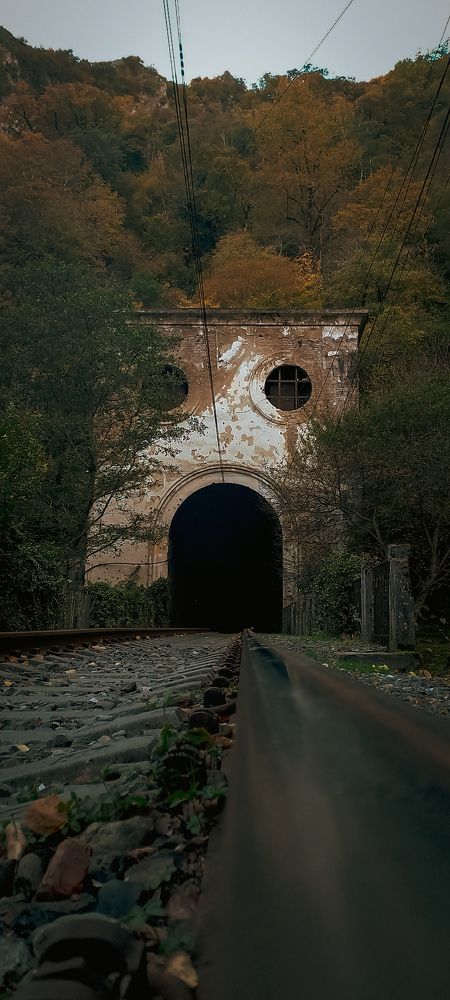 Фотография автора Анастасия Владимирова