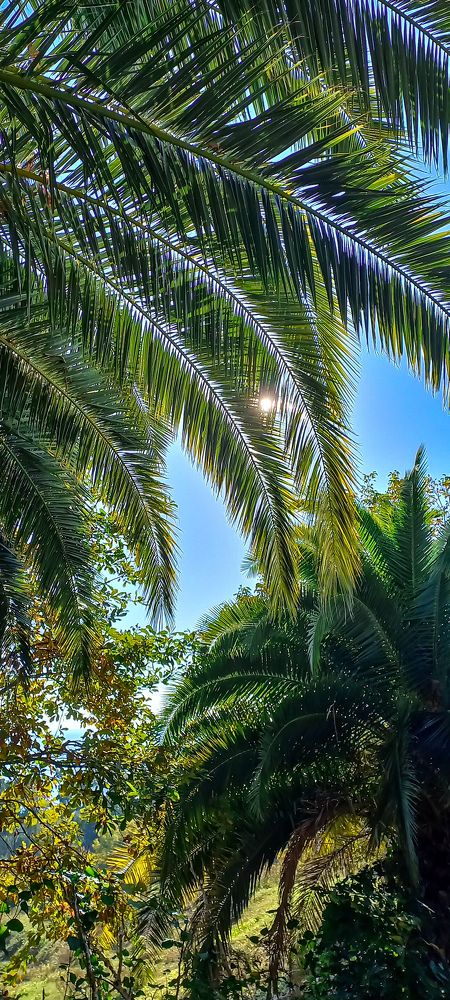 Фотография автора Анастасия Владимирова