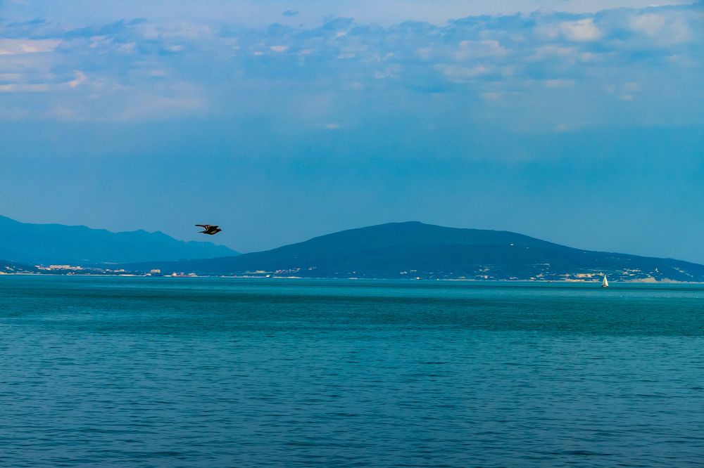 Photograph by INNA KHOMENKO