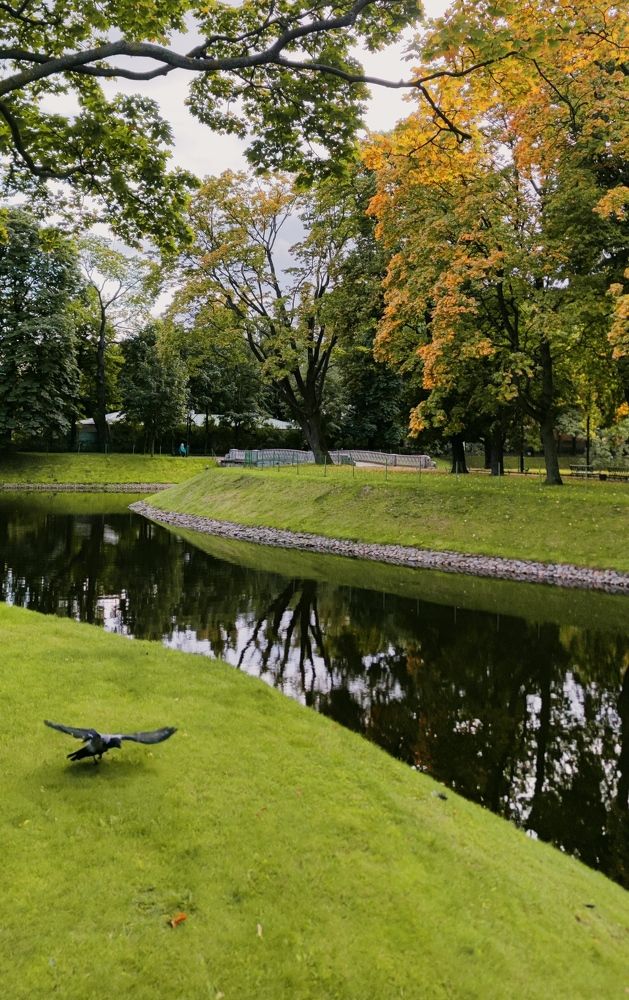 Фотография автора Ekaterina Sapezhinskaya