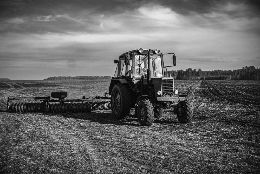 Photograph by BorzIN