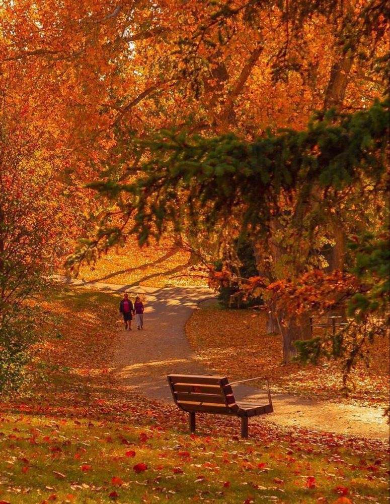 Фотография автора Lina Denisowa