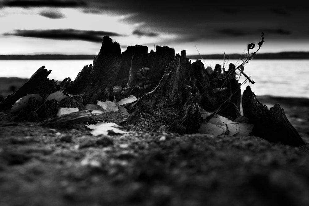 Photograph by Андрей Городецкий