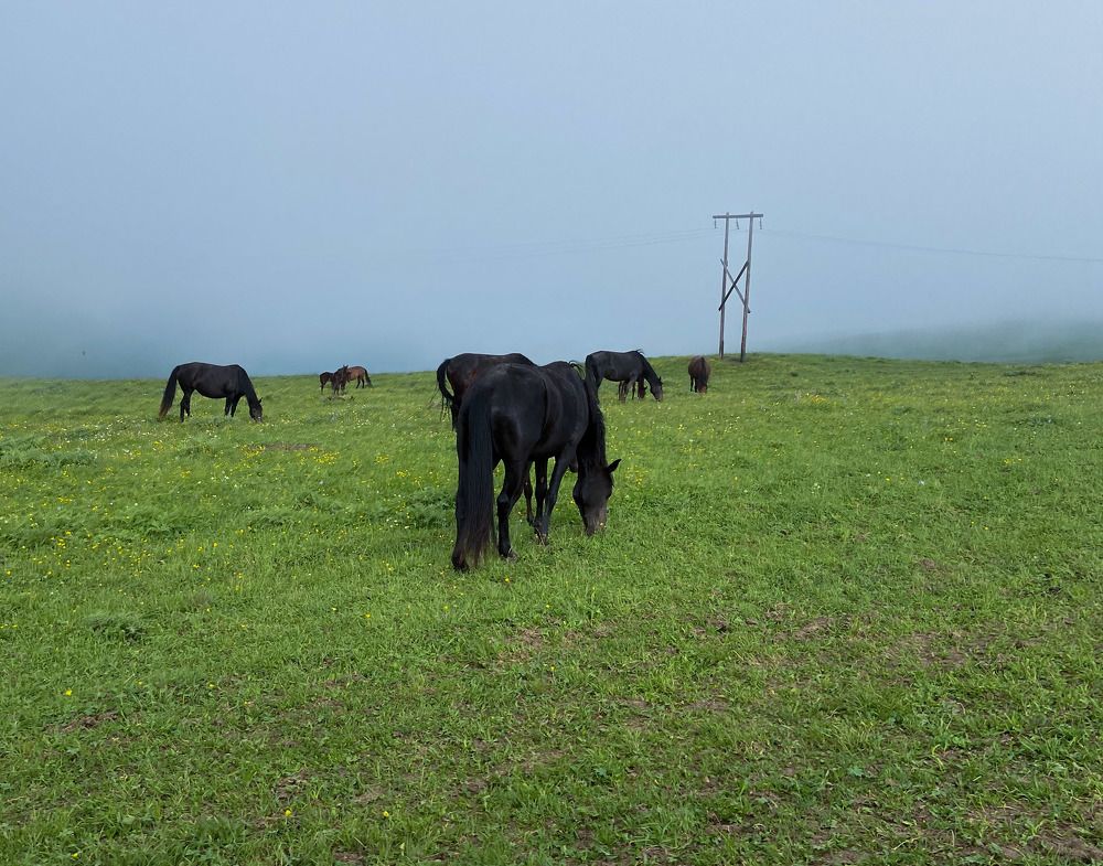 Photograph by Иван Весельников