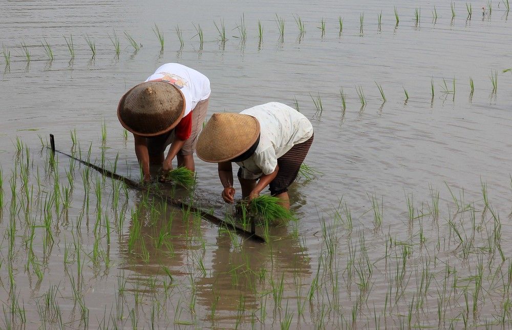 Photograph by Диана Жагрина