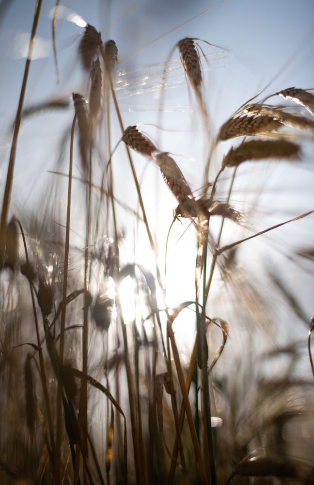 Photograph by Наталья Сорокина