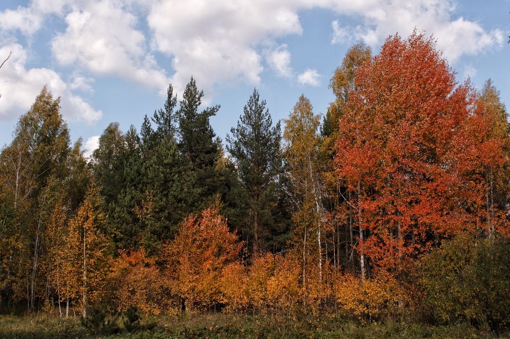 Photograph by Марина Тувышева-Чукавина