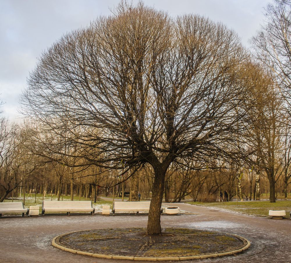 Photograph by Сергей Нестеров