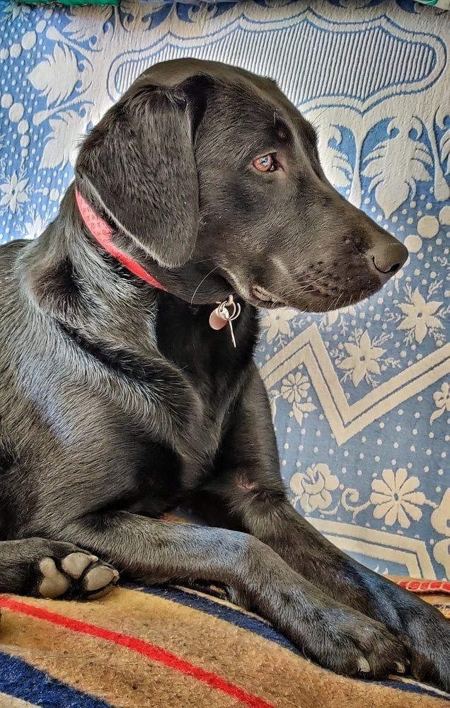 Photograph by Noemí Hornero Alonso