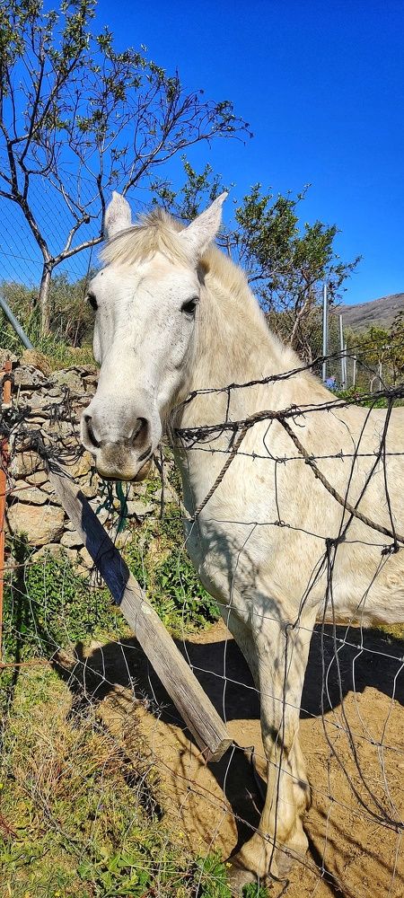 Photograph by Noemí Hornero Alonso