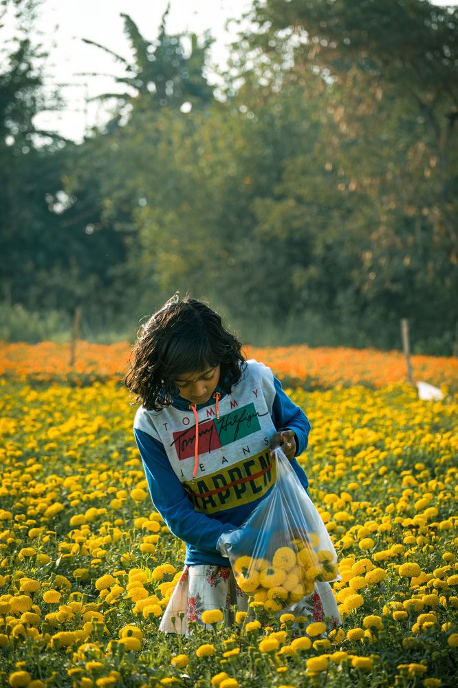 Photograph by SHRINJOY MAITI