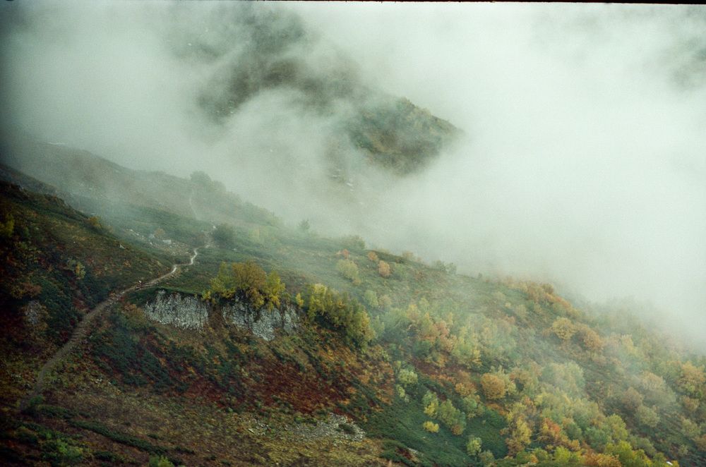 Photograph by Margo Vorobeva