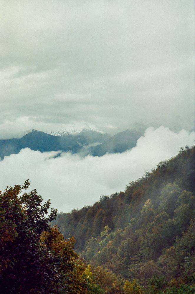 Photograph by Margo Vorobeva