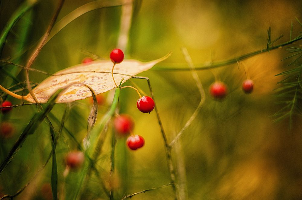 Photograph by Даниил Марков