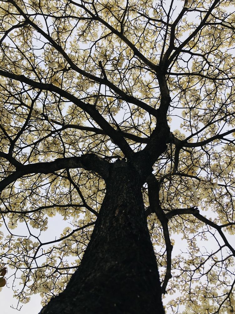 Photograph by Tina Domingos