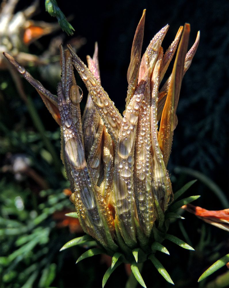 Photograph by Павел Кулинич