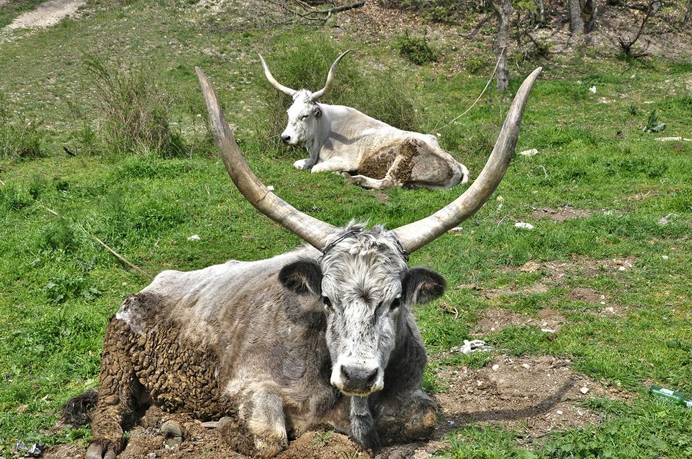 Photograph by Евгений Самулев