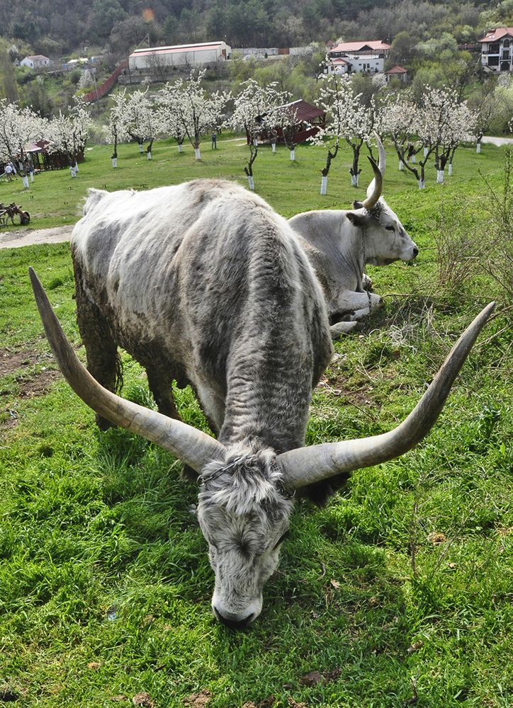 Photograph by Евгений Самулев