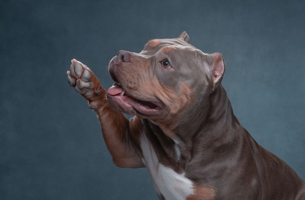 Photograph by Антон Базылевич