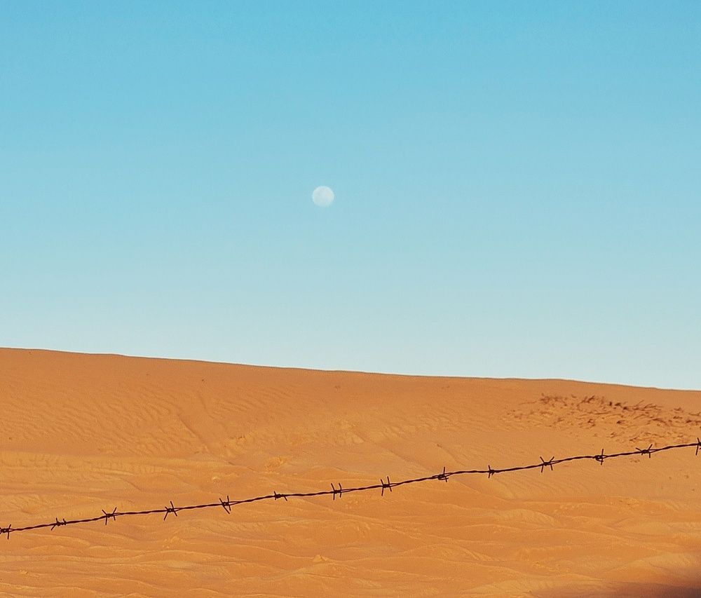 Photograph by Асад Ибадов