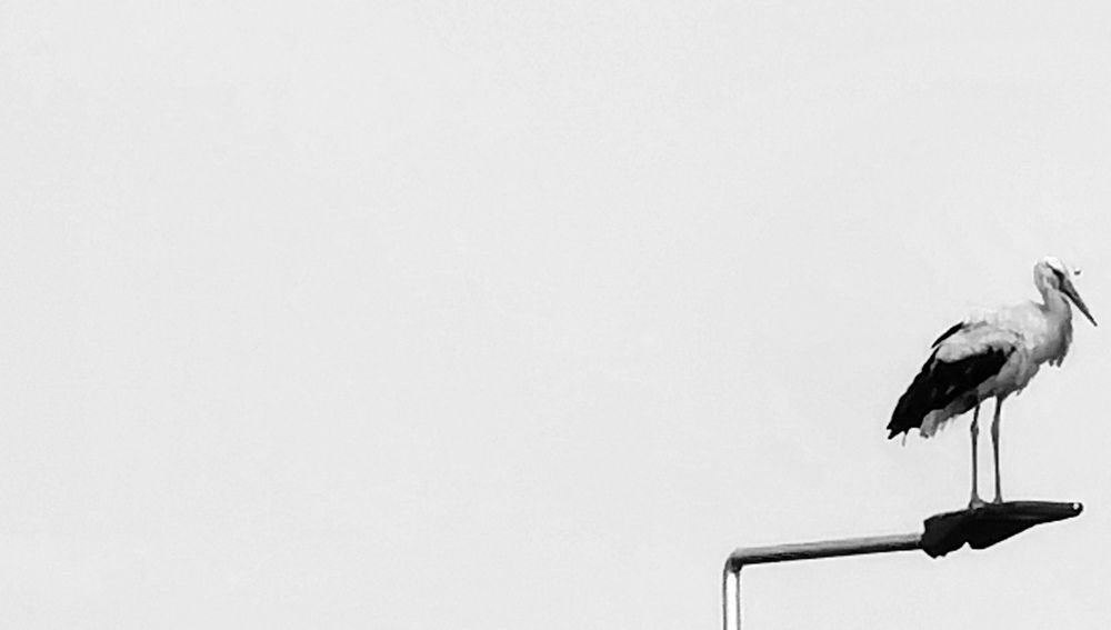 Photograph by Alen Brkić