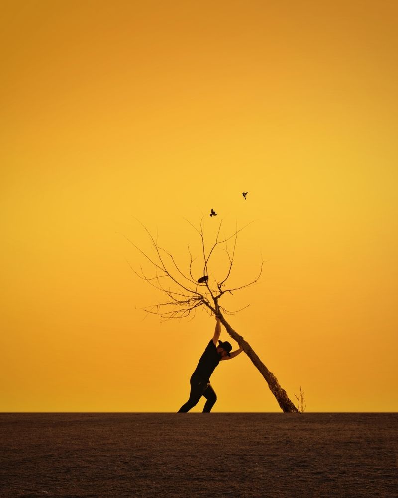 Photograph by Alireza Bagheri sani