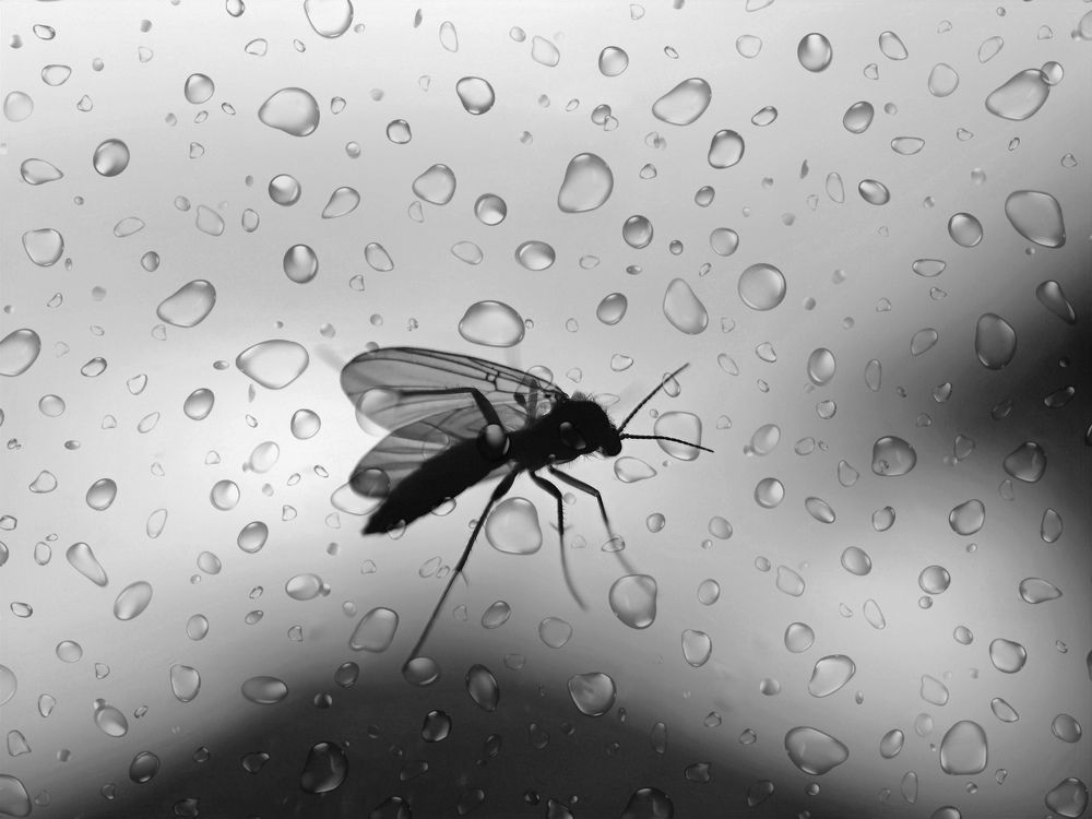 Photograph by Alen Brkić