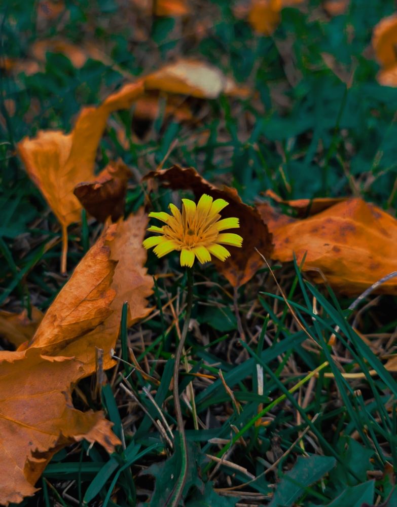 Photograph by Ронжин Дмитрий