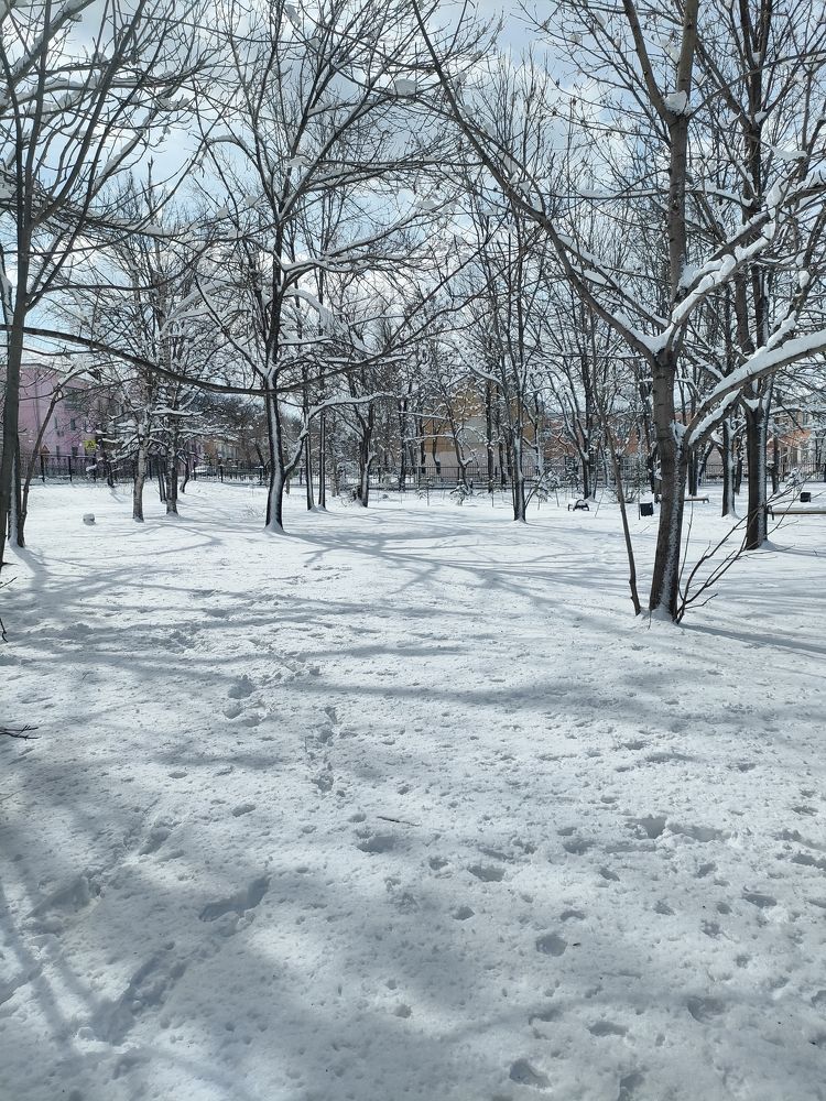 Photograph by Елена Егорова