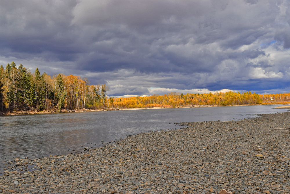 Осень на Селемдже