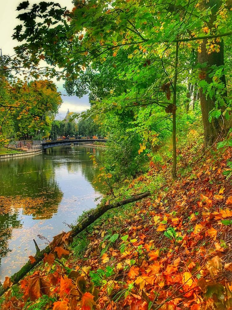 Photograph by Елена Егорова