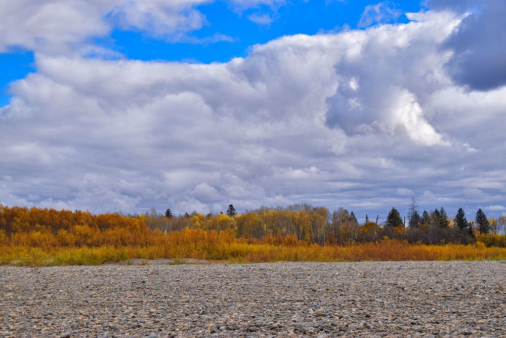 Яркие краски осени