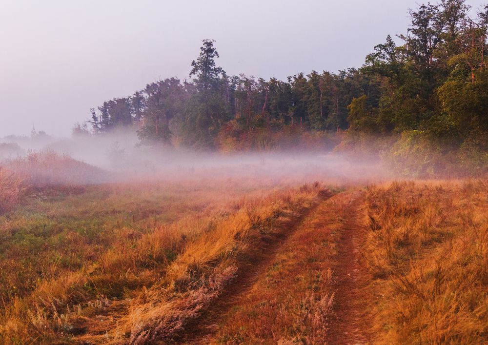 Photograph by Анна Бокова