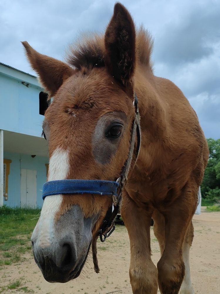 Photograph by Елена Егорова