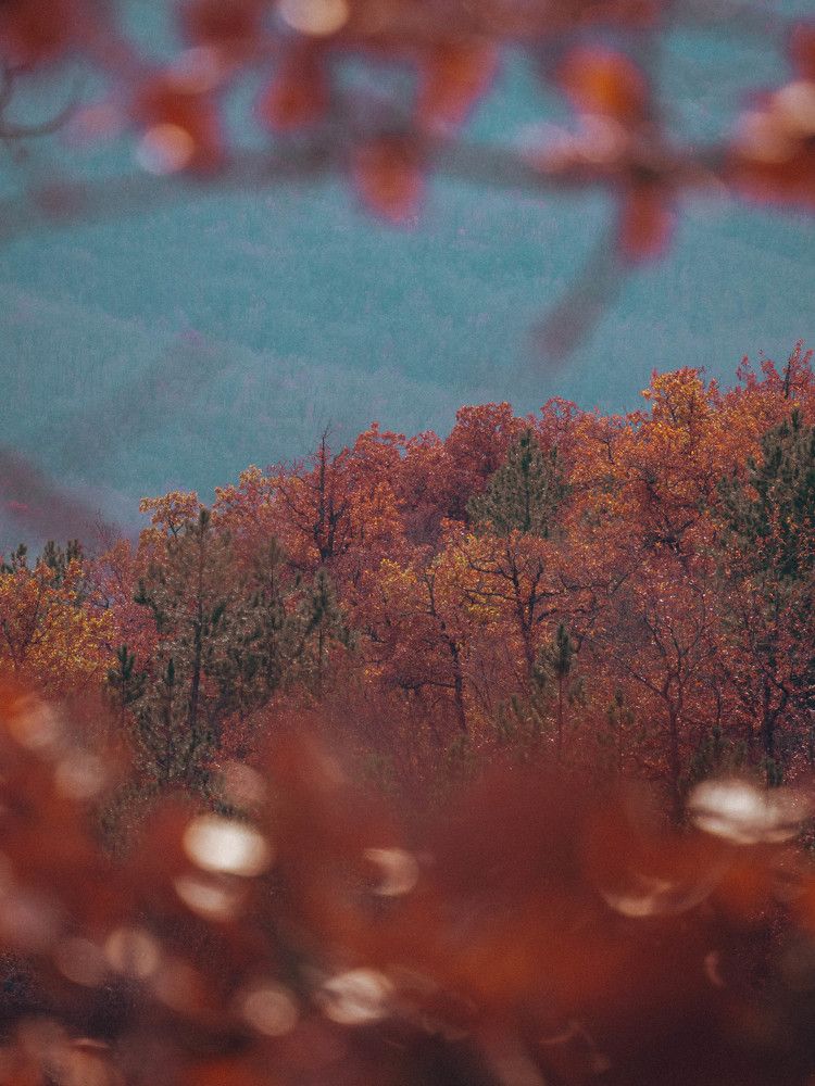 Photograph by Дмитрий Степанец